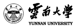 合作伙伴 7